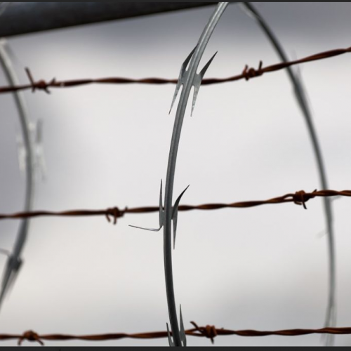 image of barbed wire