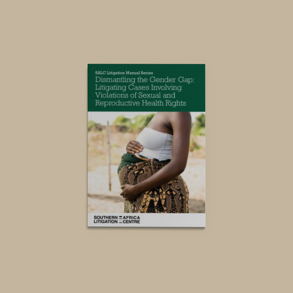 SALC Litigation Manual: Litigating cases involving sexual and reproductive health rights