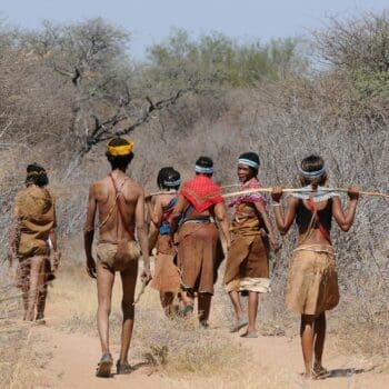 BOTSWANA COURT OF APPEAL TO HEAR CRITICAL LAND CASE - Southern Africa Litigation Centre - Vimarsana News